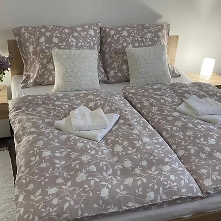 Krasny V Lokalite アパート *